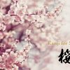 Kanji for Sakura, cherry blossoms