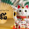 Kanji for Cat, adored neighbors